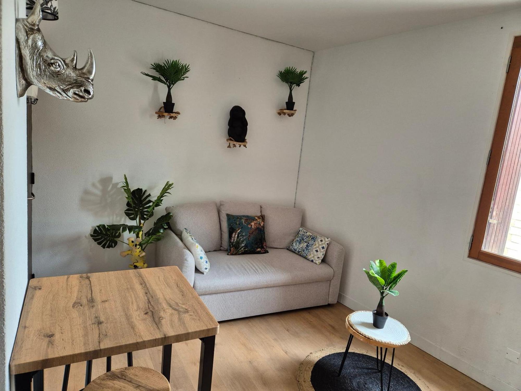 Le Jungle Appart, Centre Ville ناربون المظهر الخارجي الصورة